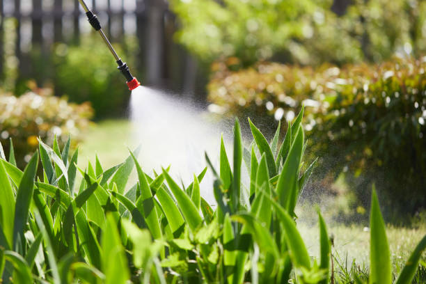 24/7 Emergency Cockroach Control experts in Leland, MS
